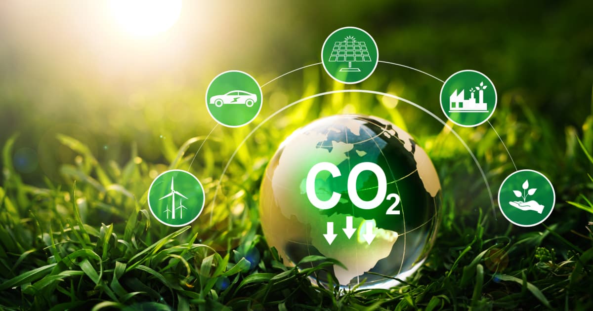 5 Ways to Reduce Your Carbon Footprint Today