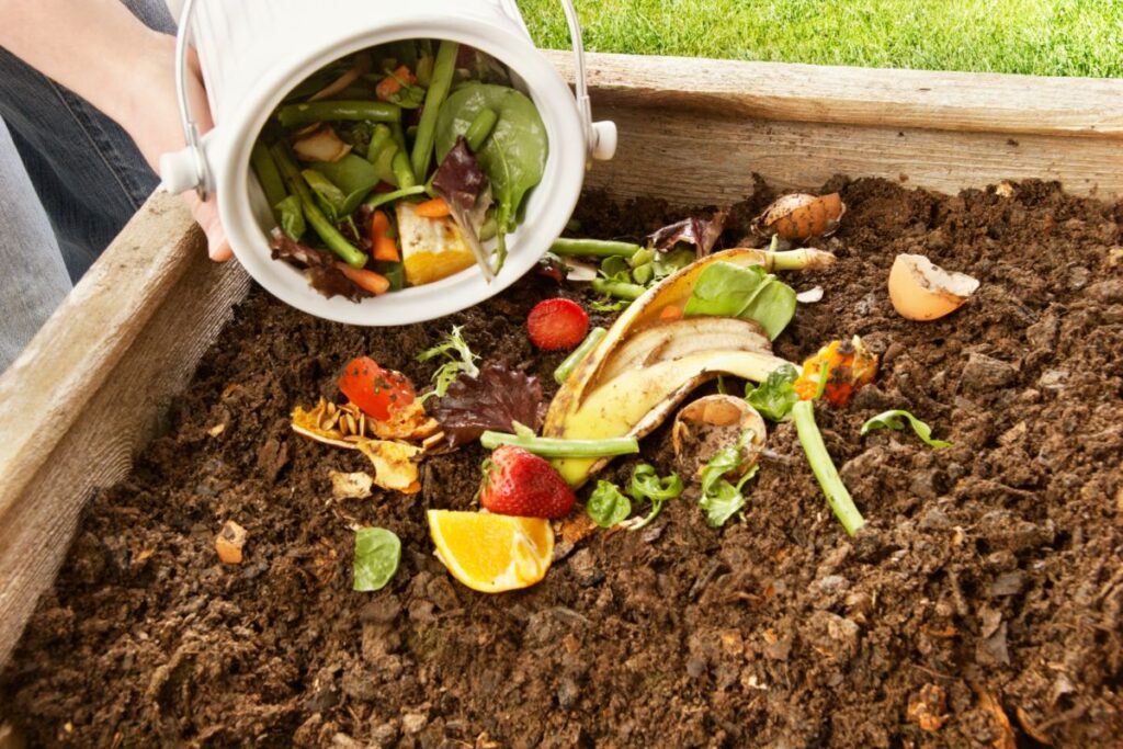 Composting 101: Getting Started